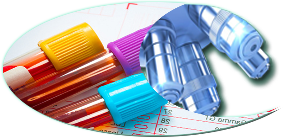 comprendre-exam labo boukhatmi