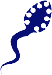 maladies-infectueuses labo ehp boukhatmi